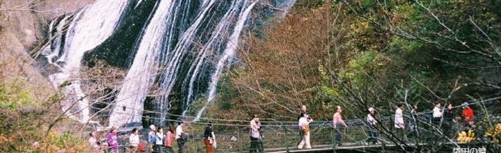 2024年11月16日　茨城探訪ツアー”水郡線で行く紅葉の奥久慈”を行いました